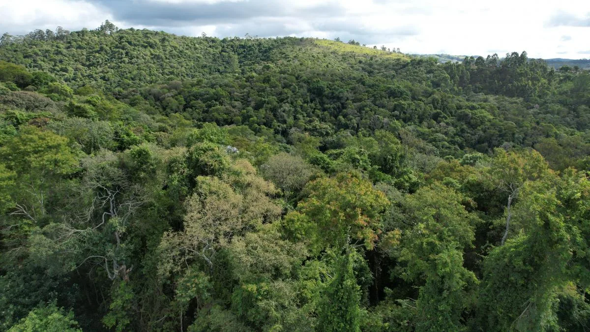 Chácara no Cond. Santa Helena - Castelo Branco km 42, a menos de 40 km de SP