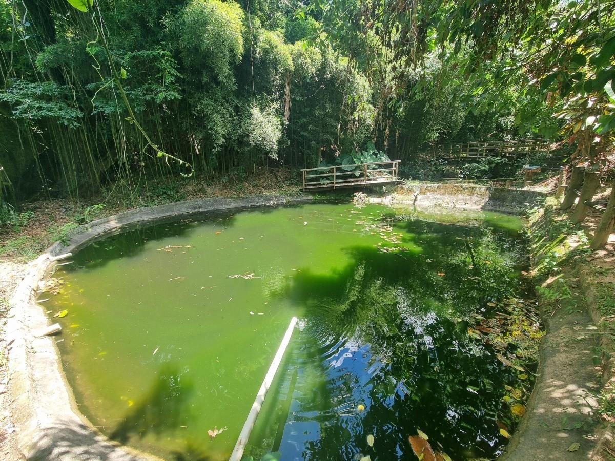 Chácara à venda em bairro nobre em Sorocaba próximo a Raposo Tavares e Centro